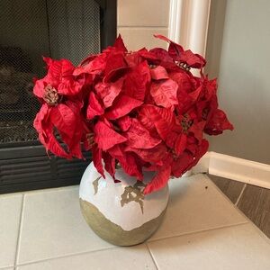 Red Poinsettia Stems
